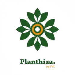 logo-planthiza-000